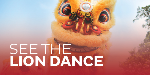 See The Lion Dancing