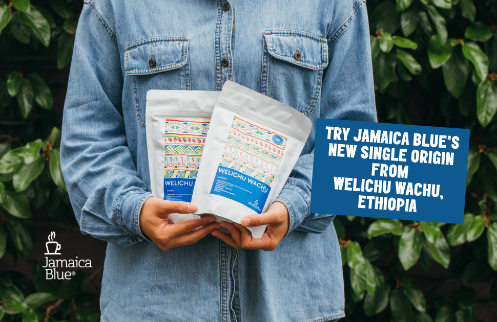 Jamaica Blue's NEW Single Origin
