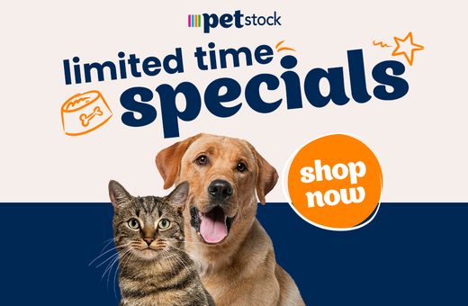 Petstock treats of the month 