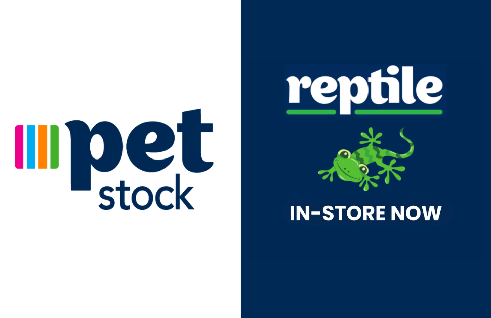 Reptiles at Petstock