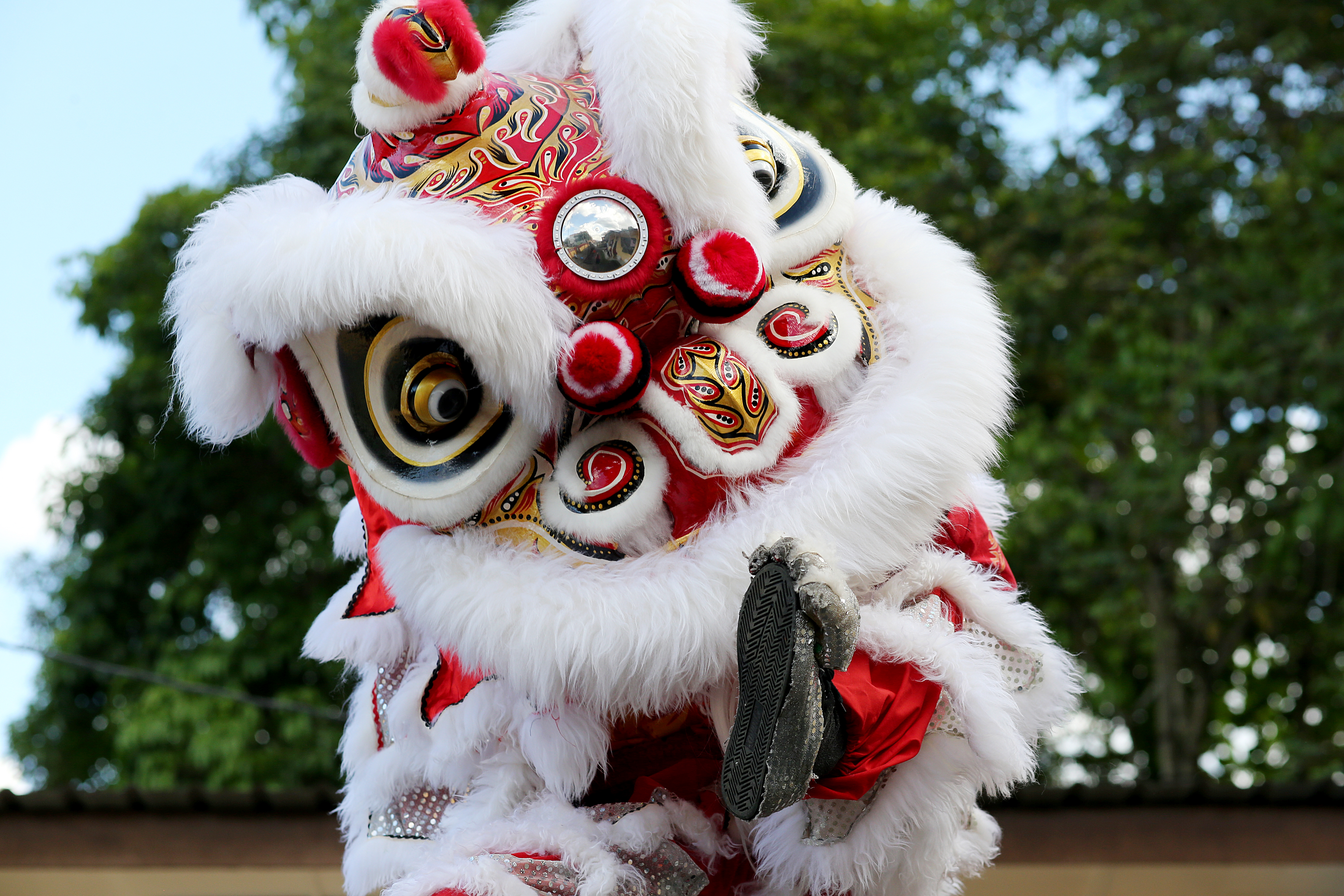 Lion Dance Performances