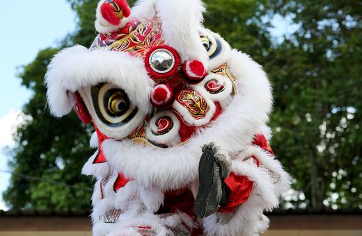 Lion Dance Performances