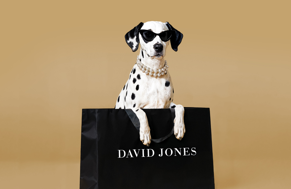 David Jones rewards program reimagined in partnership with Qantas