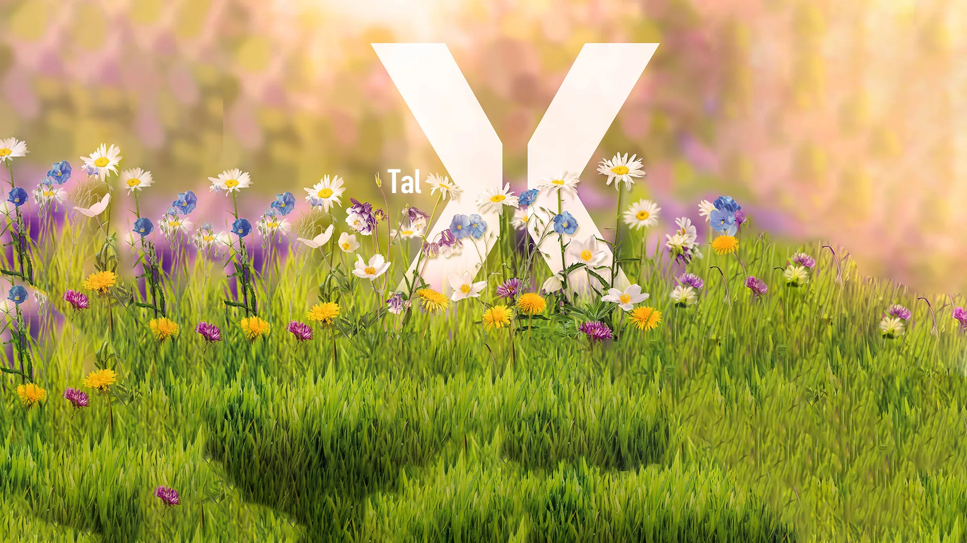 Bildbeschreibung fehlt