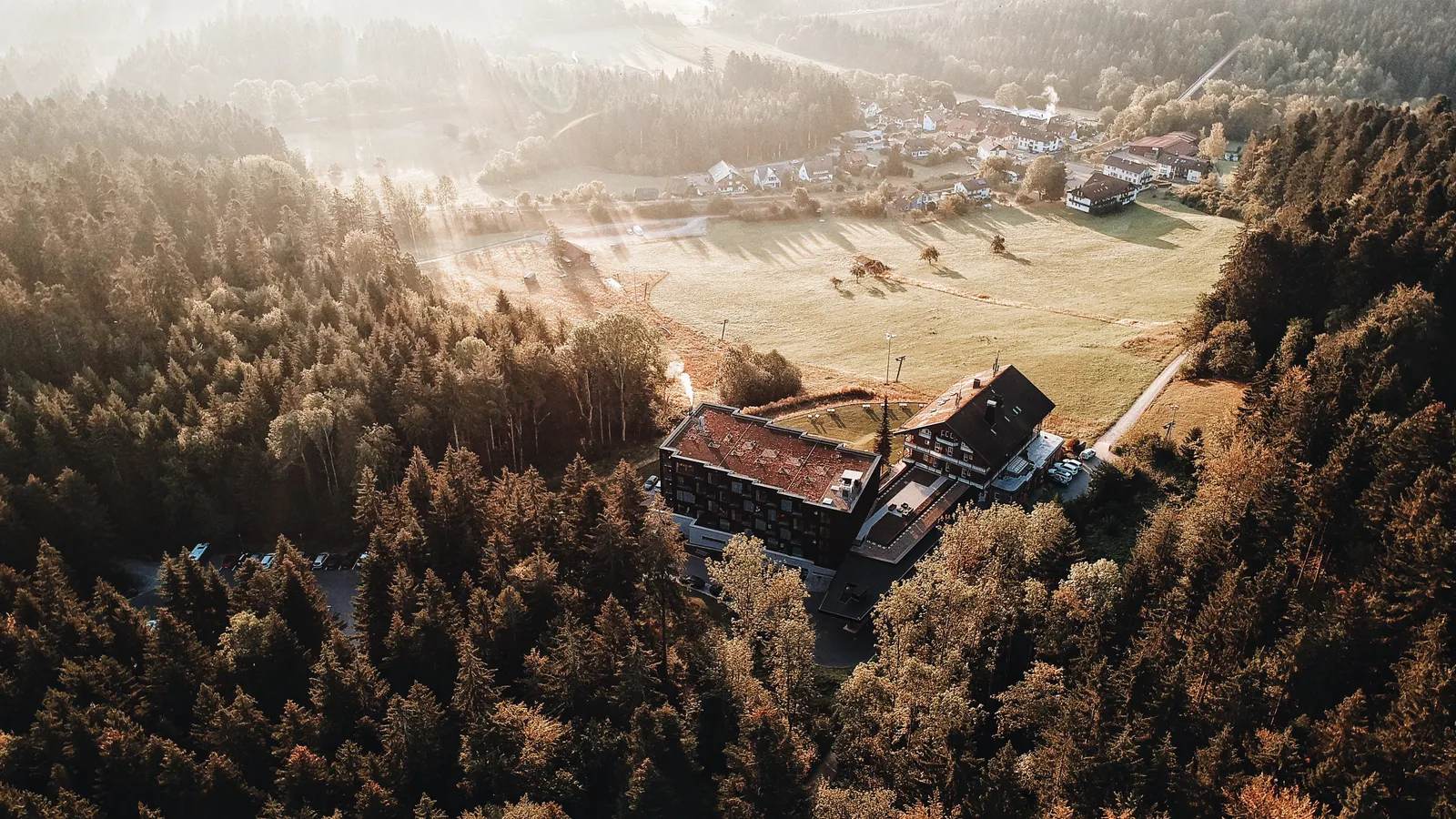 Jetzt Anmelden