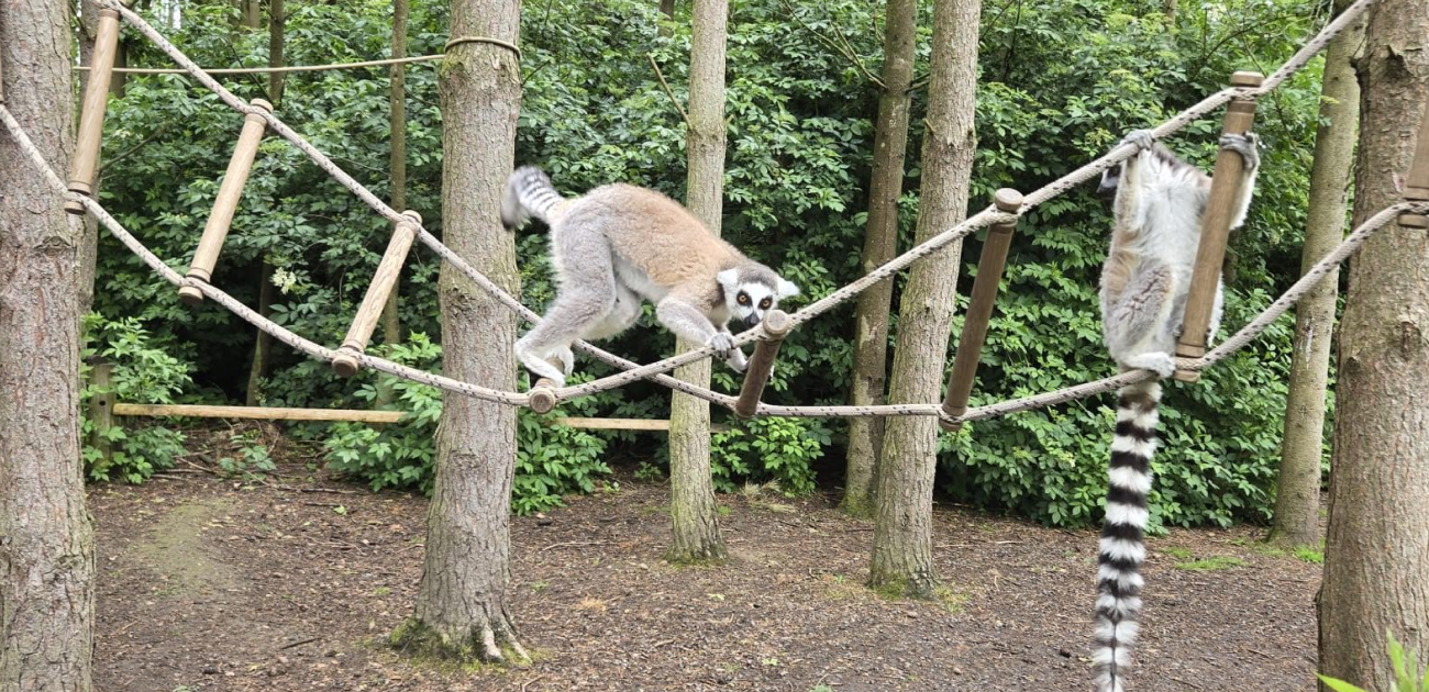 Hoo Zoo Image 1