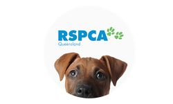 rspca queensland