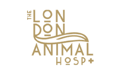the london animal hospital