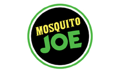 mosquito joe