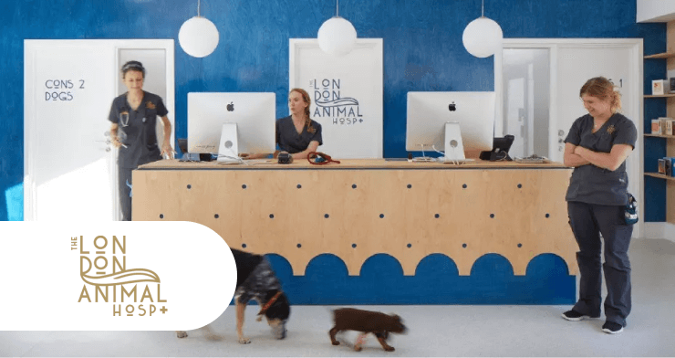 The London Animal Hospital