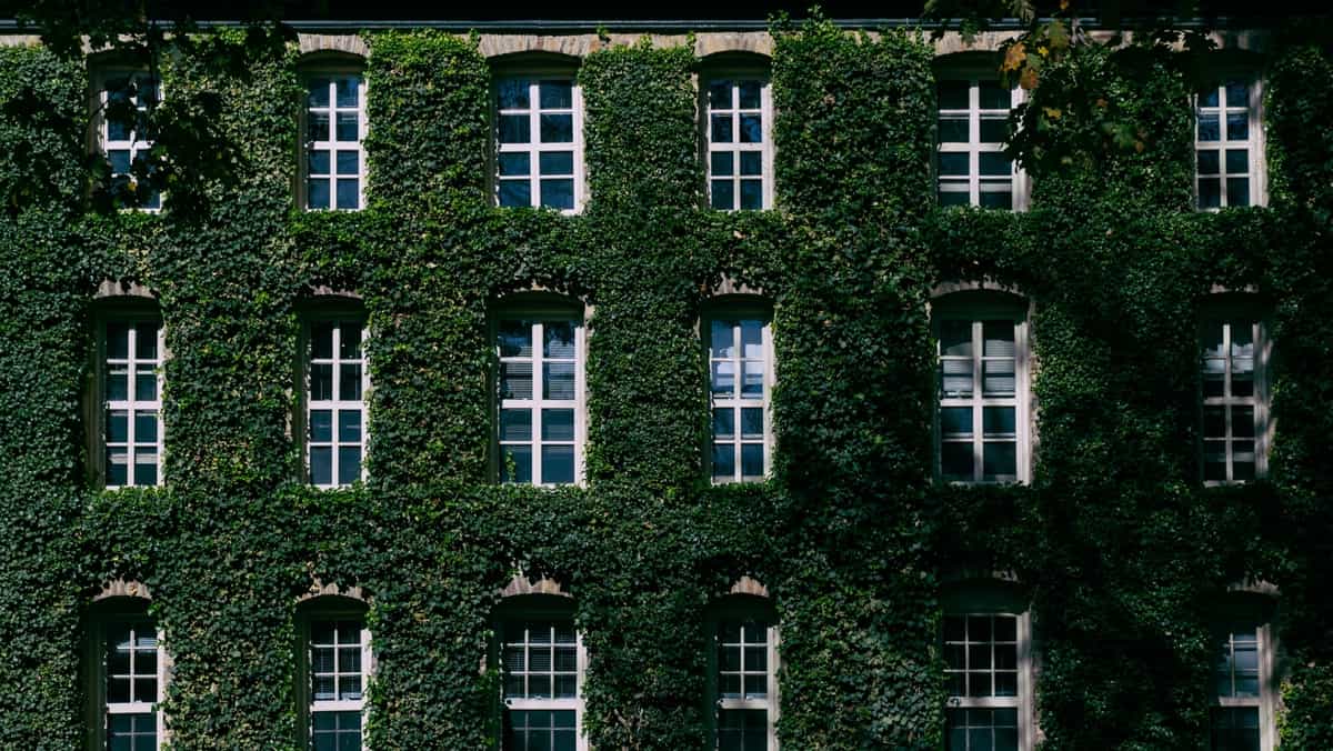 常春藤联盟2028届取录率出炉