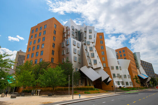 What Majors Is MIT Known For?