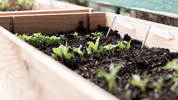 Comment fabriquer sa propre jardinière rustique ?