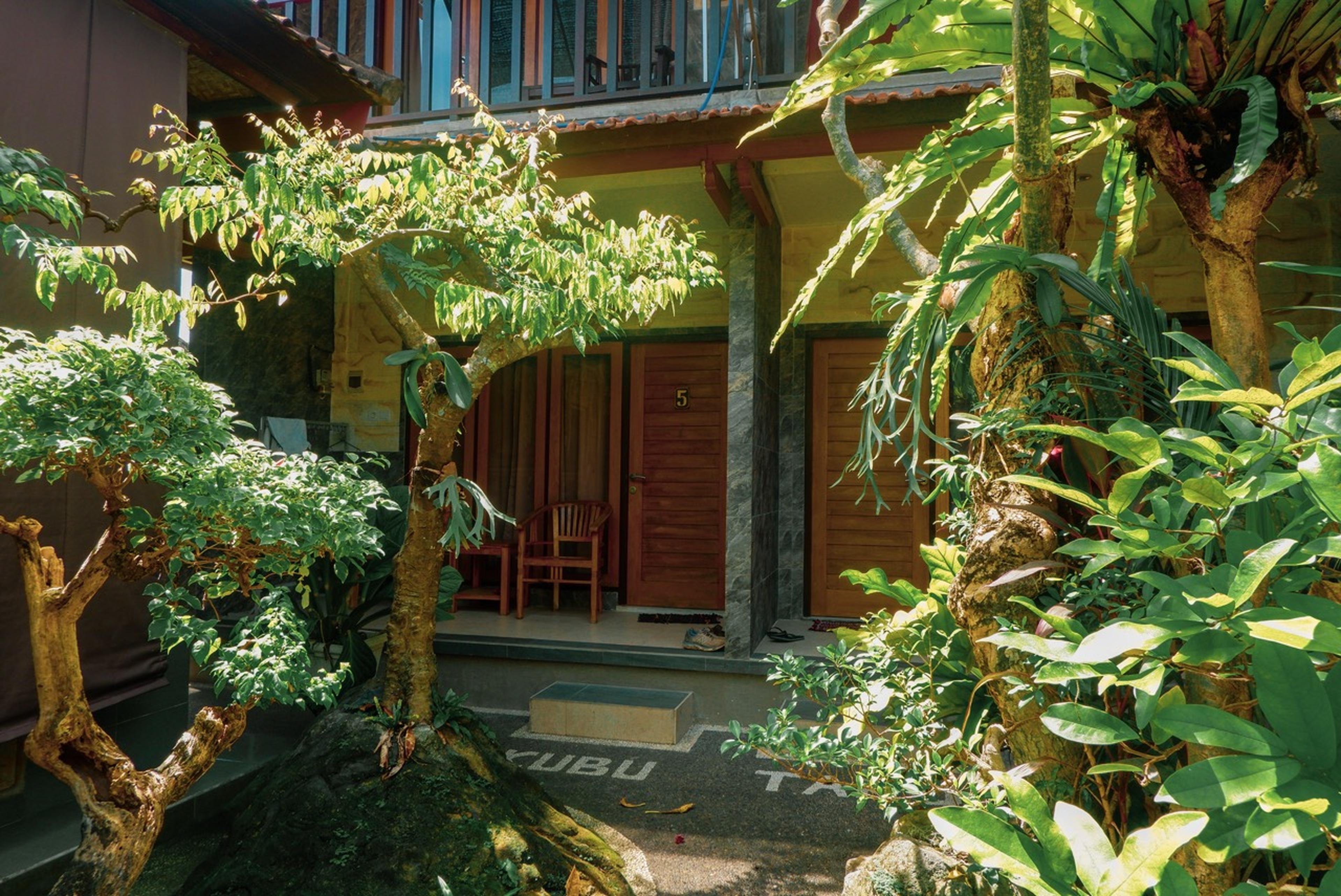website image