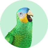 Papegoye