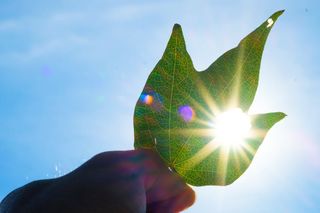 SBA’s Linda McMahon on Breaking Down Barriers to Success