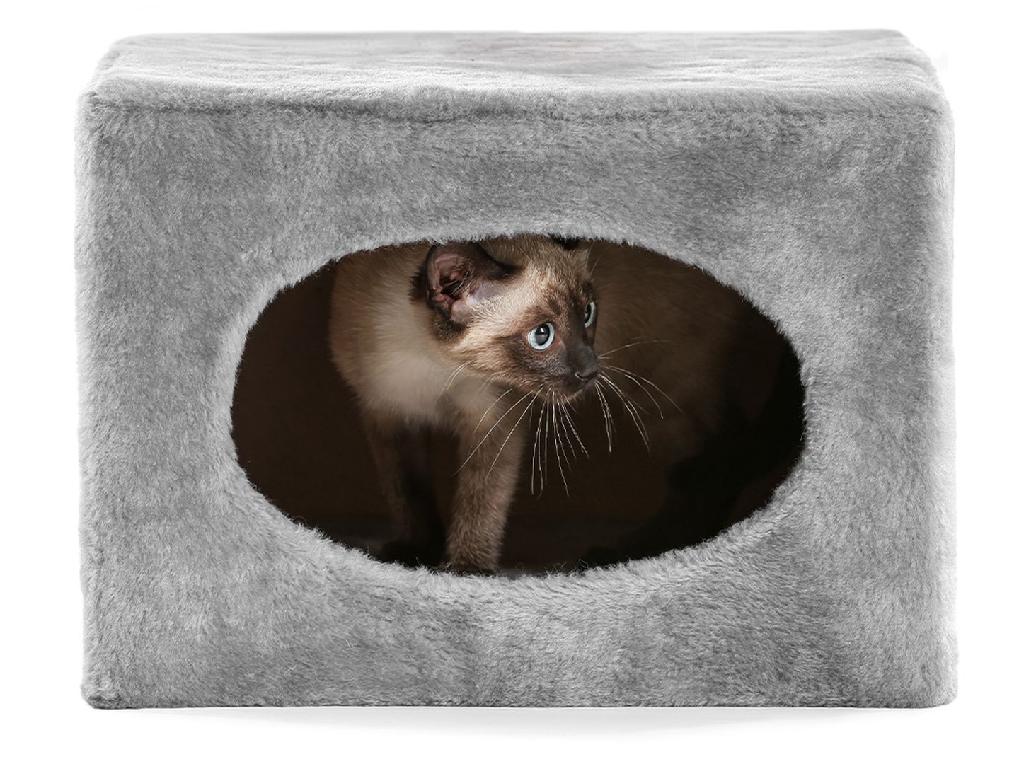 katzen kratzbaum siam