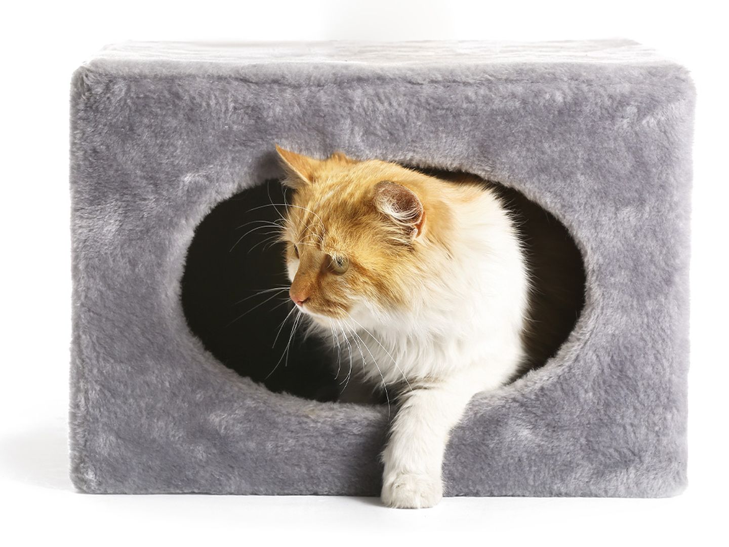 katzen kratzbaum rotweiss