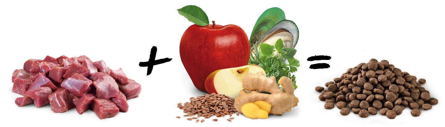 Fleisch und natuerliche Zutaten fuer Trockenfutter