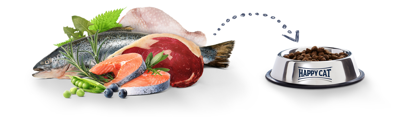 zutaten napf mit kroketten