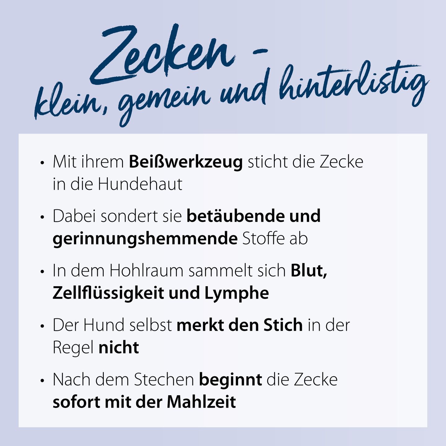 zeckenbiss 1