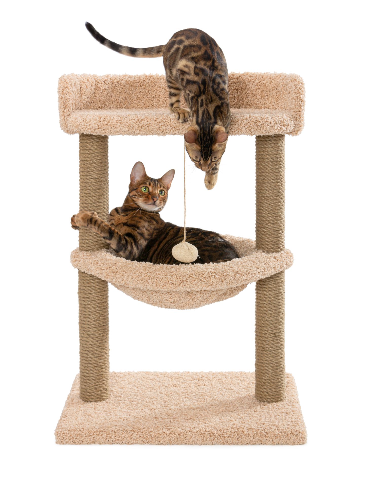 hc katze kratzbaum