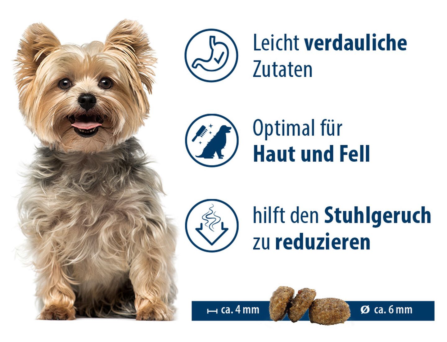 hd magazin minixs content