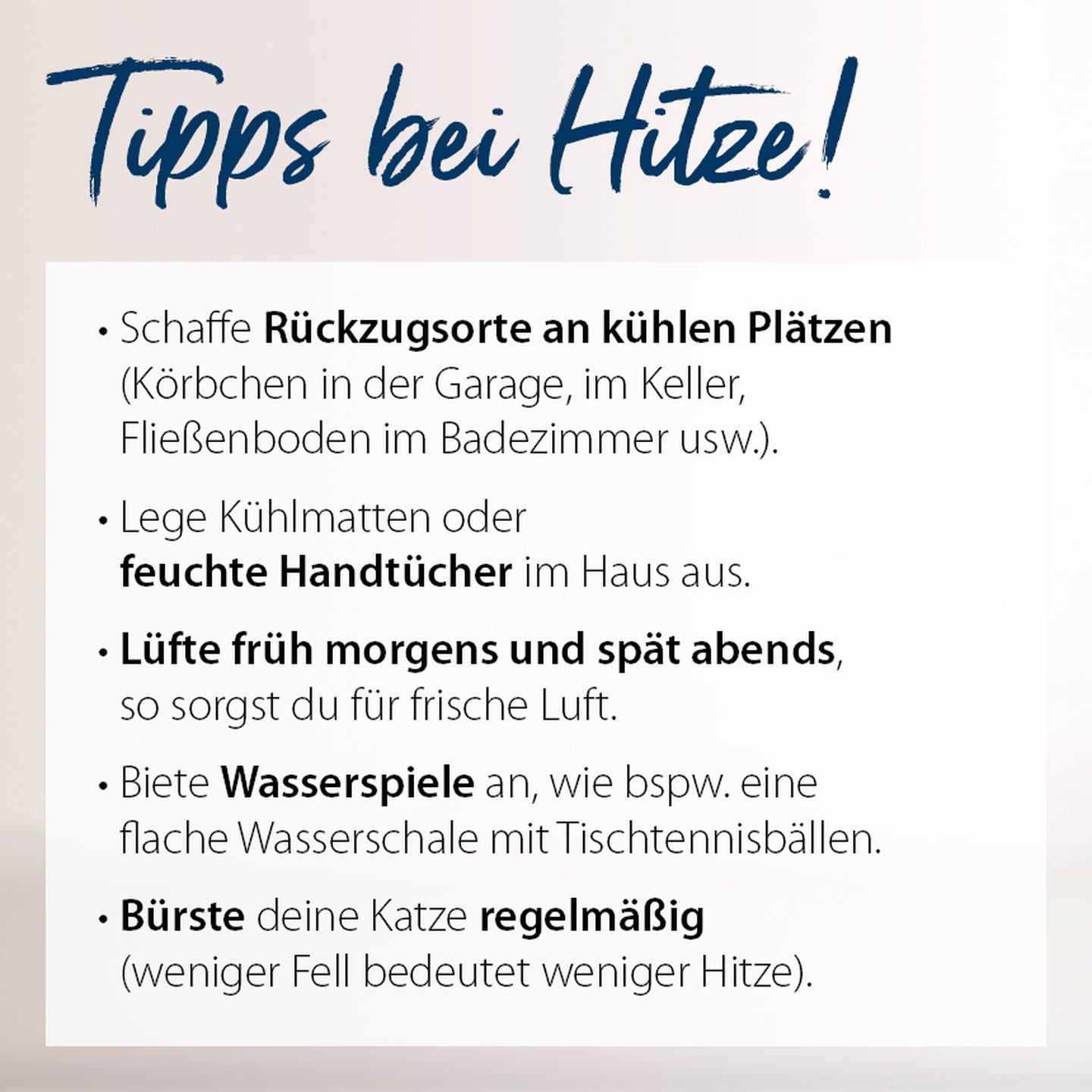 infografik tipsbeihitze1