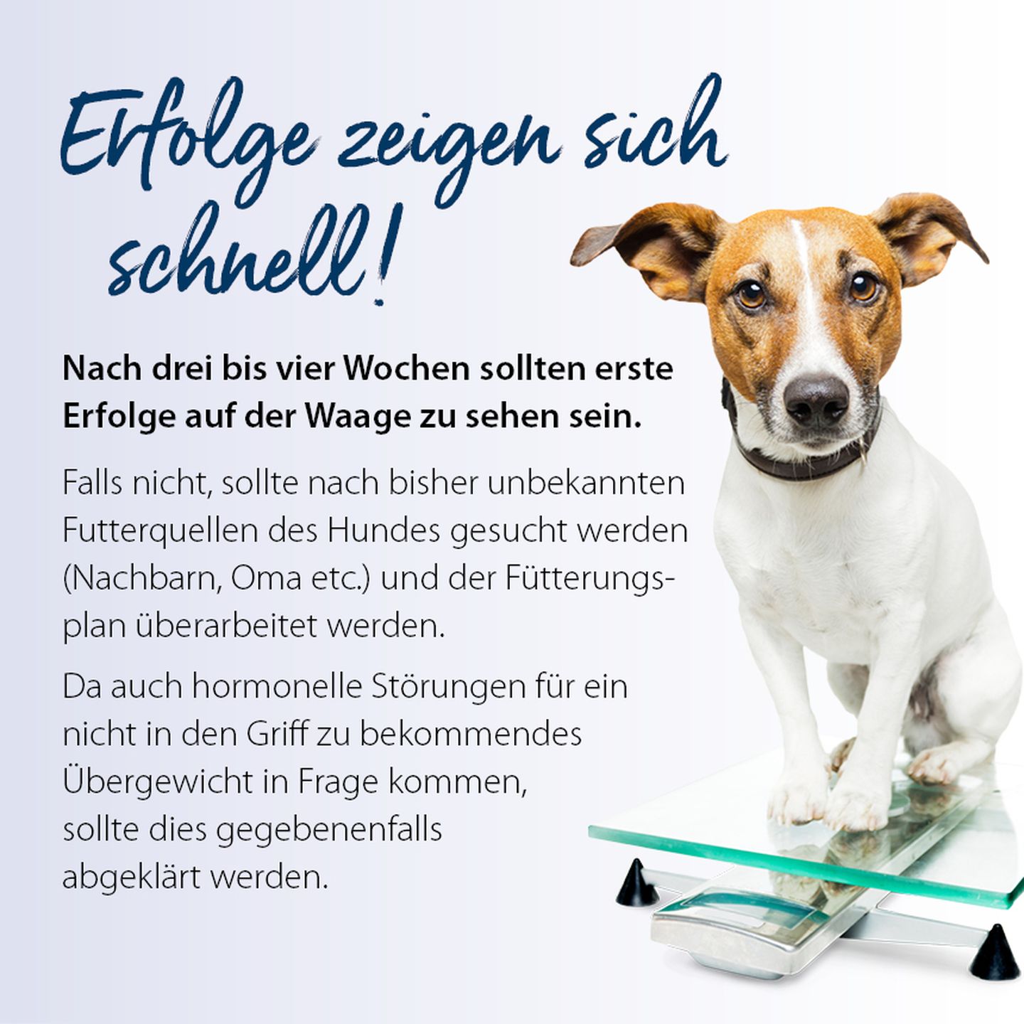infografik tipszumabnehmen 2