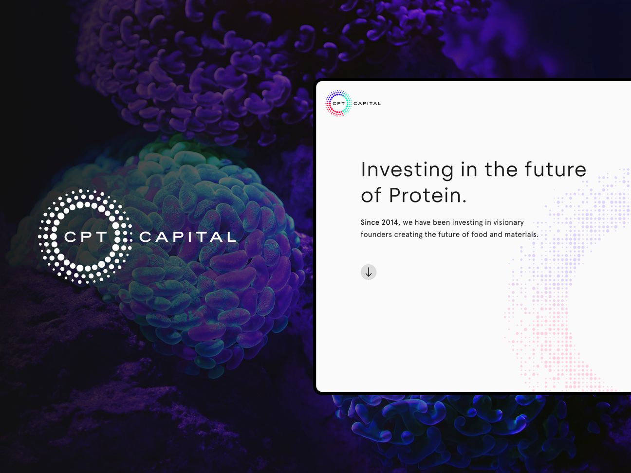 CPT Capital image