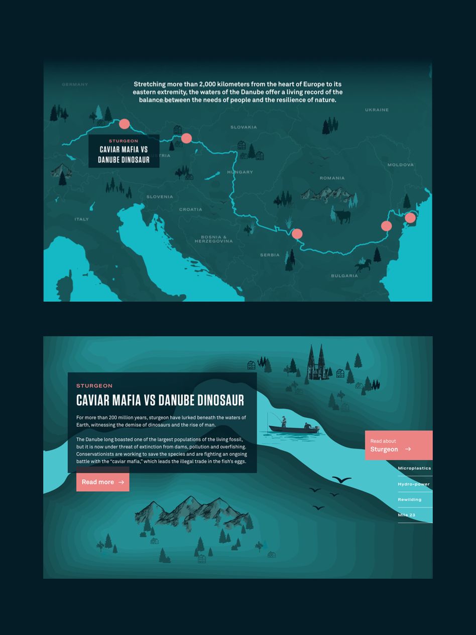 Map of The Danube and zoomed in Sturgeon article on map