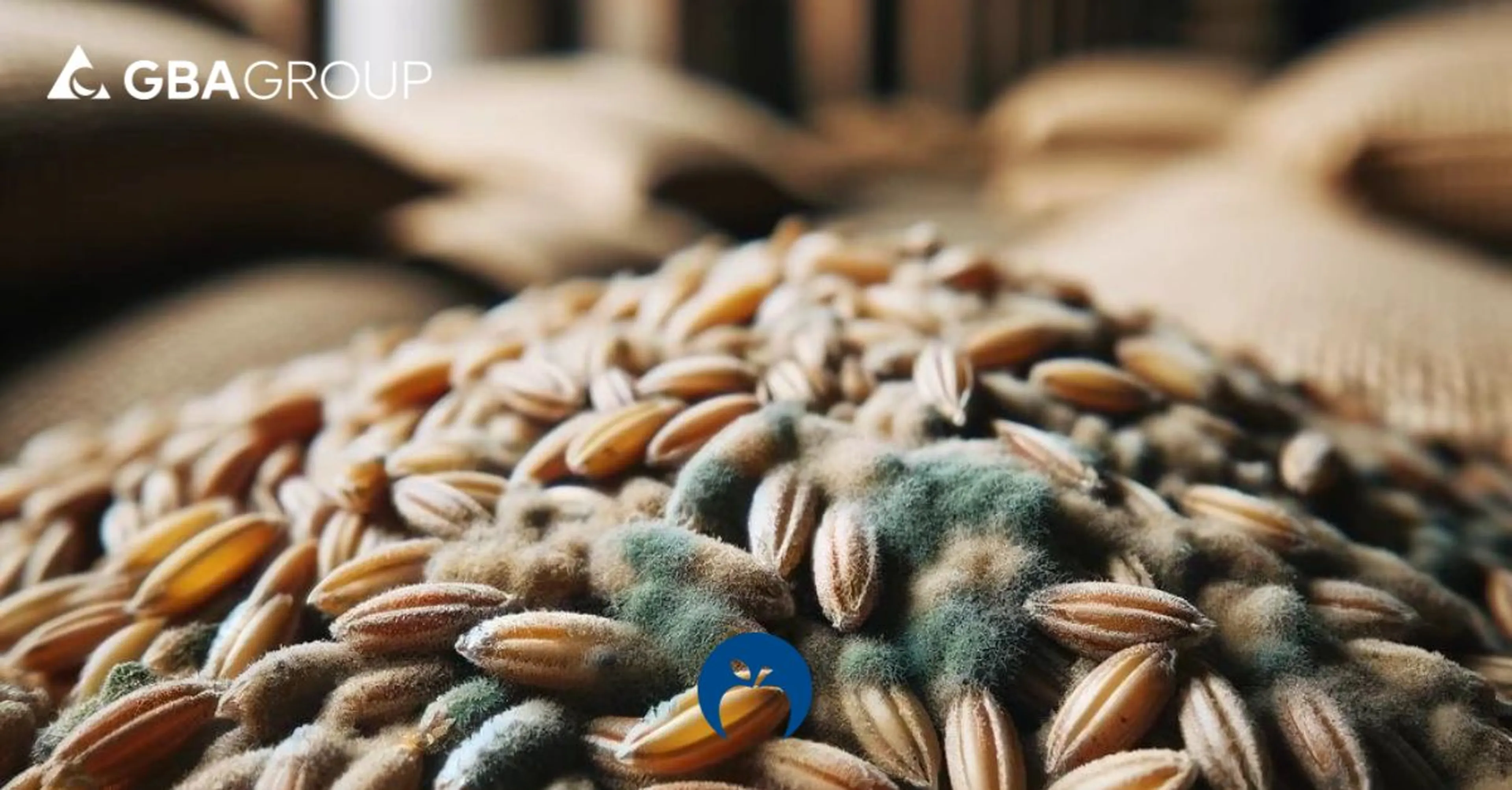 New EU Regulation 2024/1038 Sets Stricter Limits for Mycotoxins in Food Products