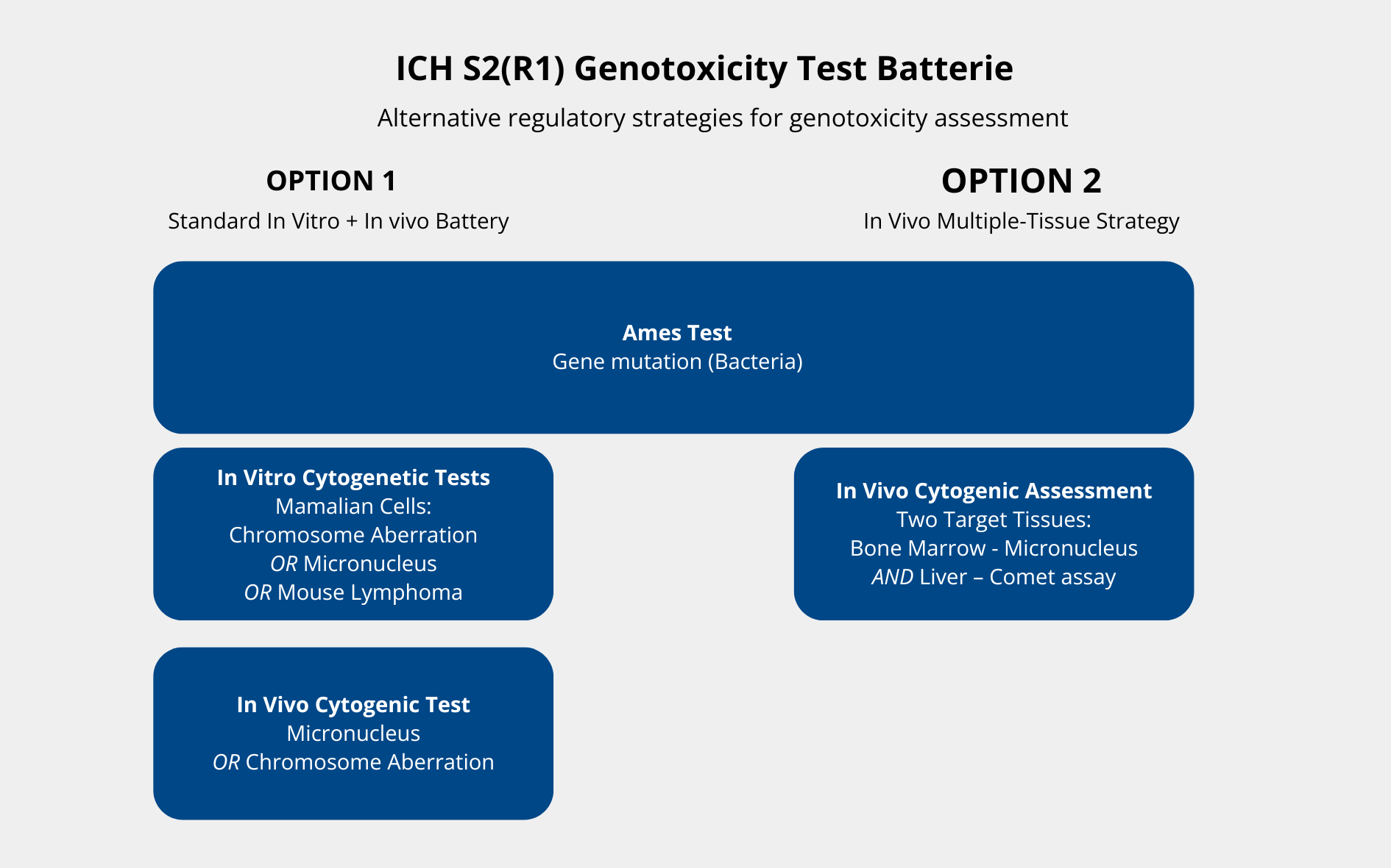 ICH S2(R1) Test Batteries for Regulatory Genotoxicity Assessment