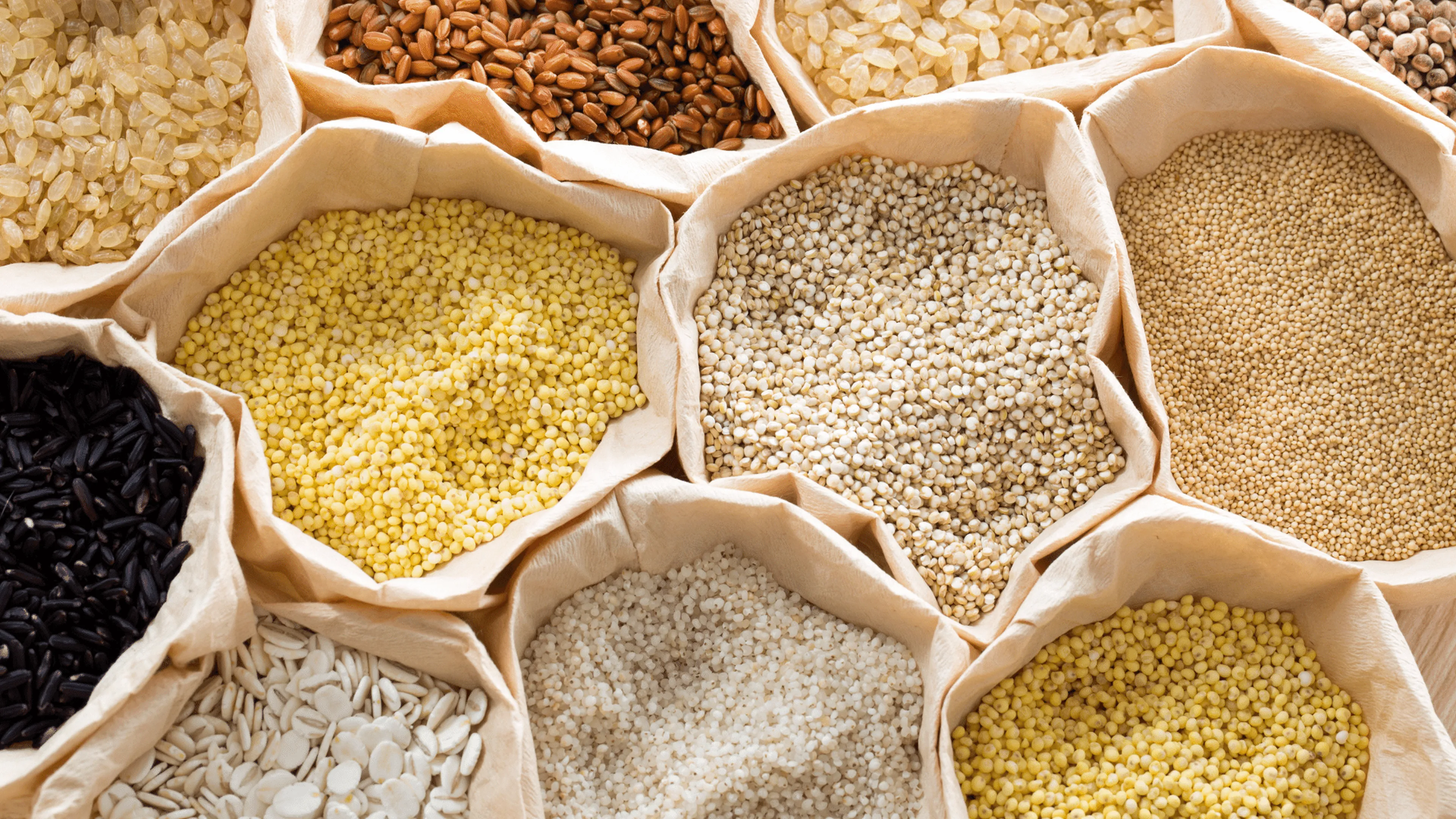 New maximum residue levels for tropane alkaloids