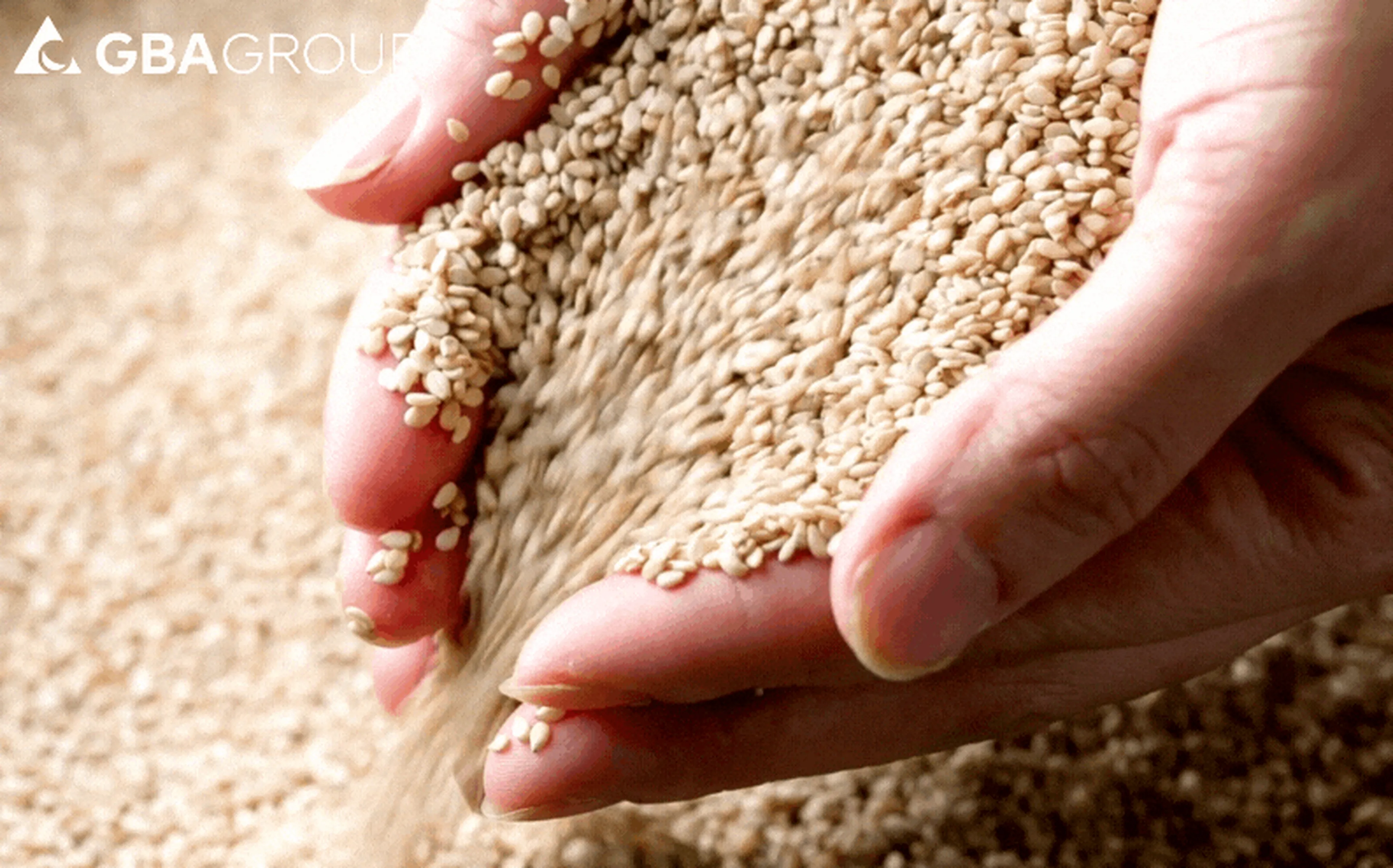 Trend ingredients for 2022 - Seeds & Kernels 