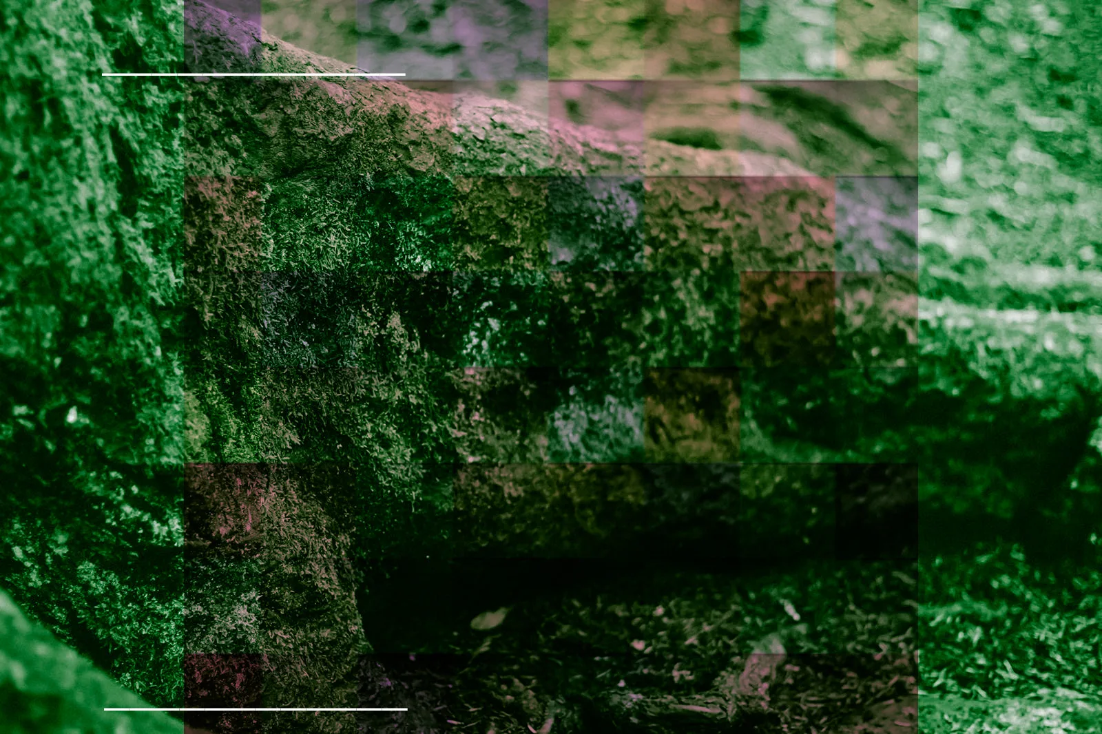 Bildbeschreibung fehlt