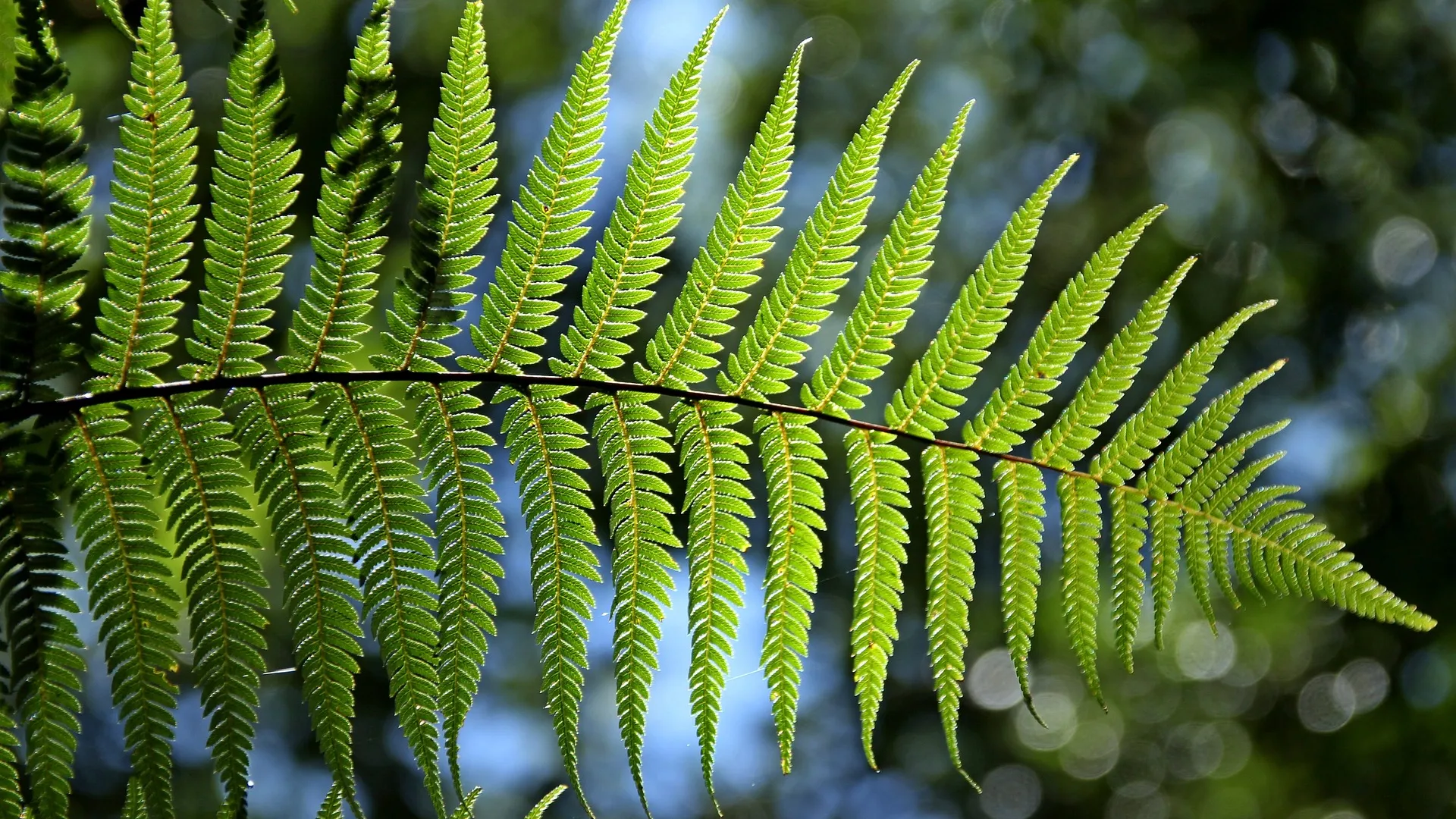 Angebote