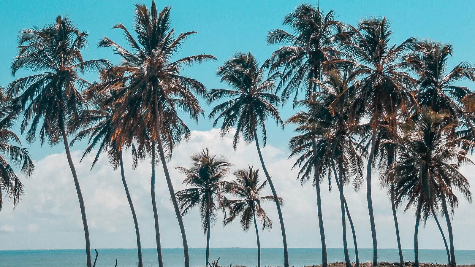 POLYNESIA