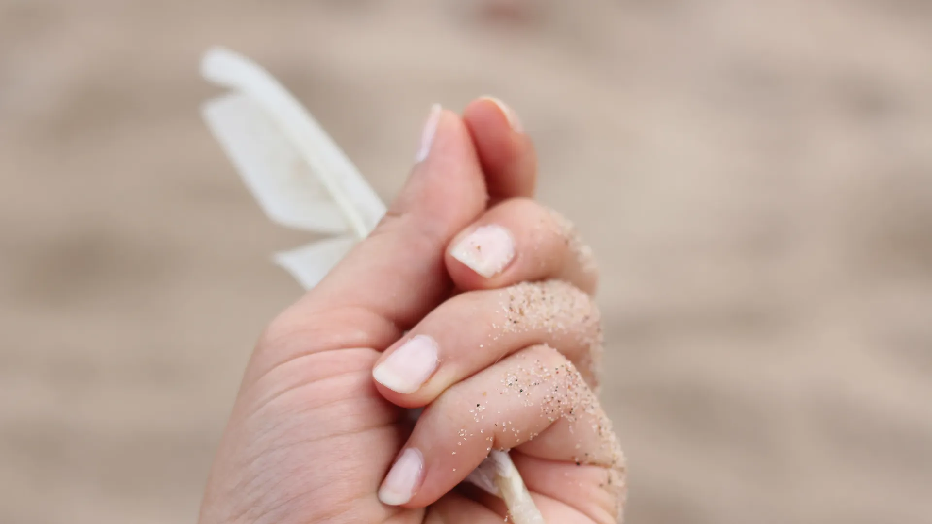 Foot + Hand