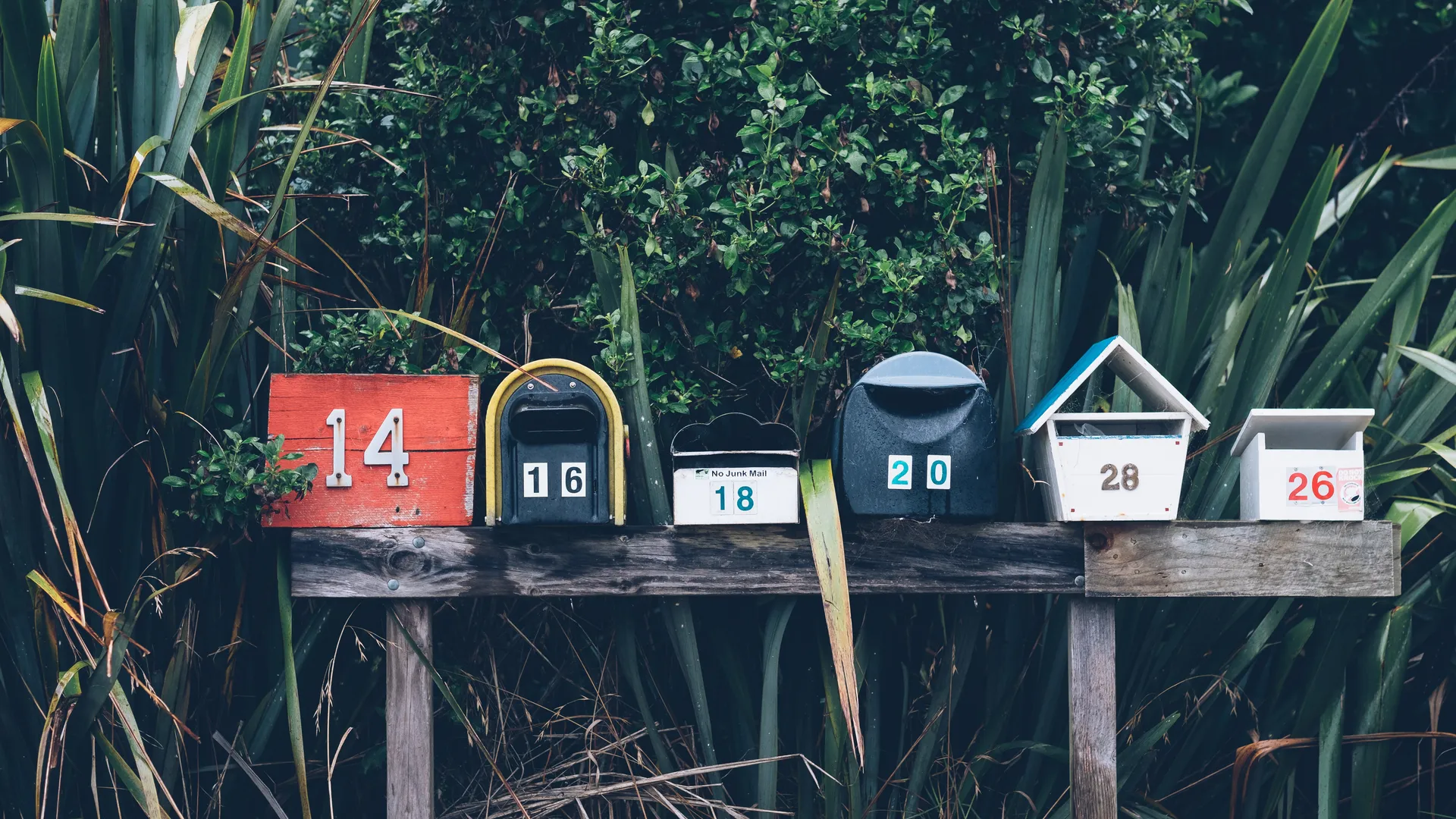 Newsletter