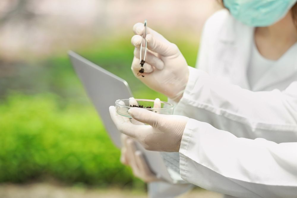 Alternative Cadmium Remediation Safer Phosphates