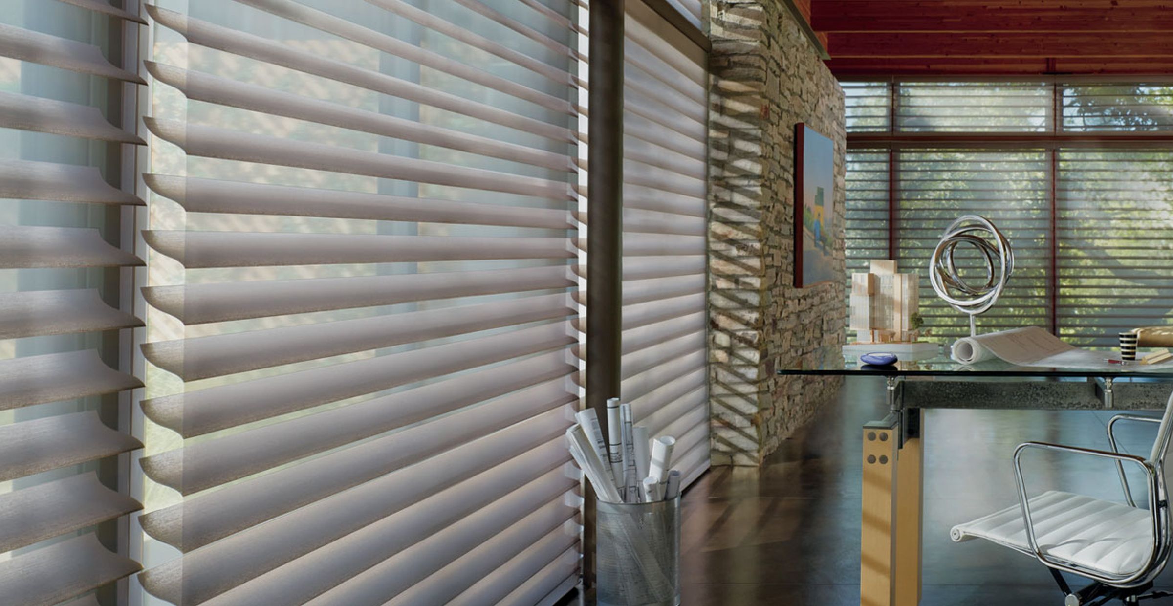 Hunter Douglas blinds