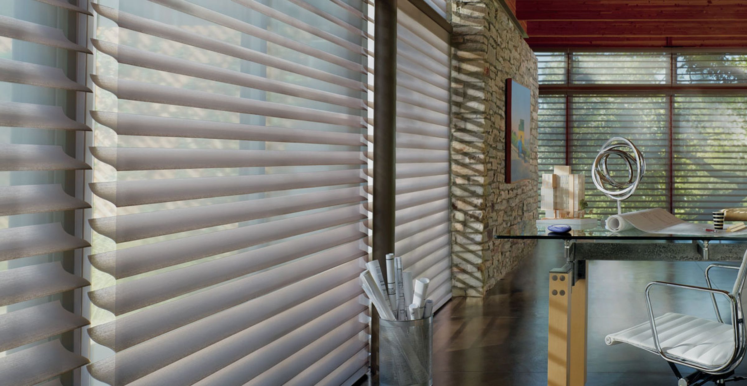 Hunter Douglas blinds