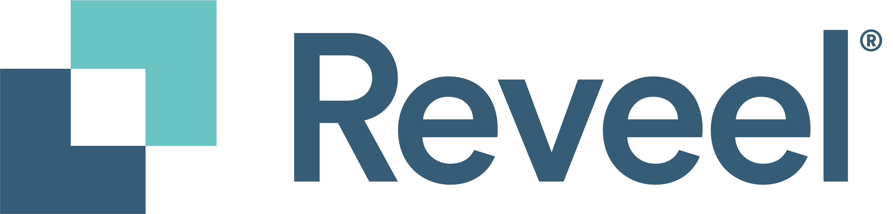 Reveel wordmark