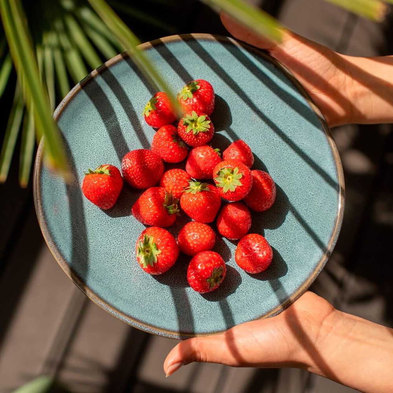 Hände halten einen blauen Teller mit frischen Erdbeeren, Sonnenlicht wirft Schatten der Blätter auf die Szene.