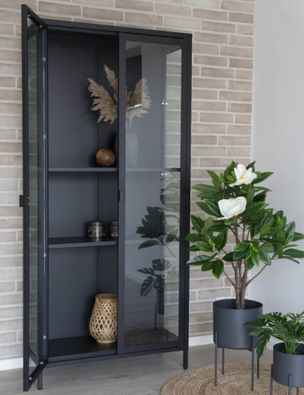 Schwarze Vitrine Brisbane mit zwei Regalfächern hinter großer, verglaster Schranktüre. Im Vordergrund zwei Pflanzen.