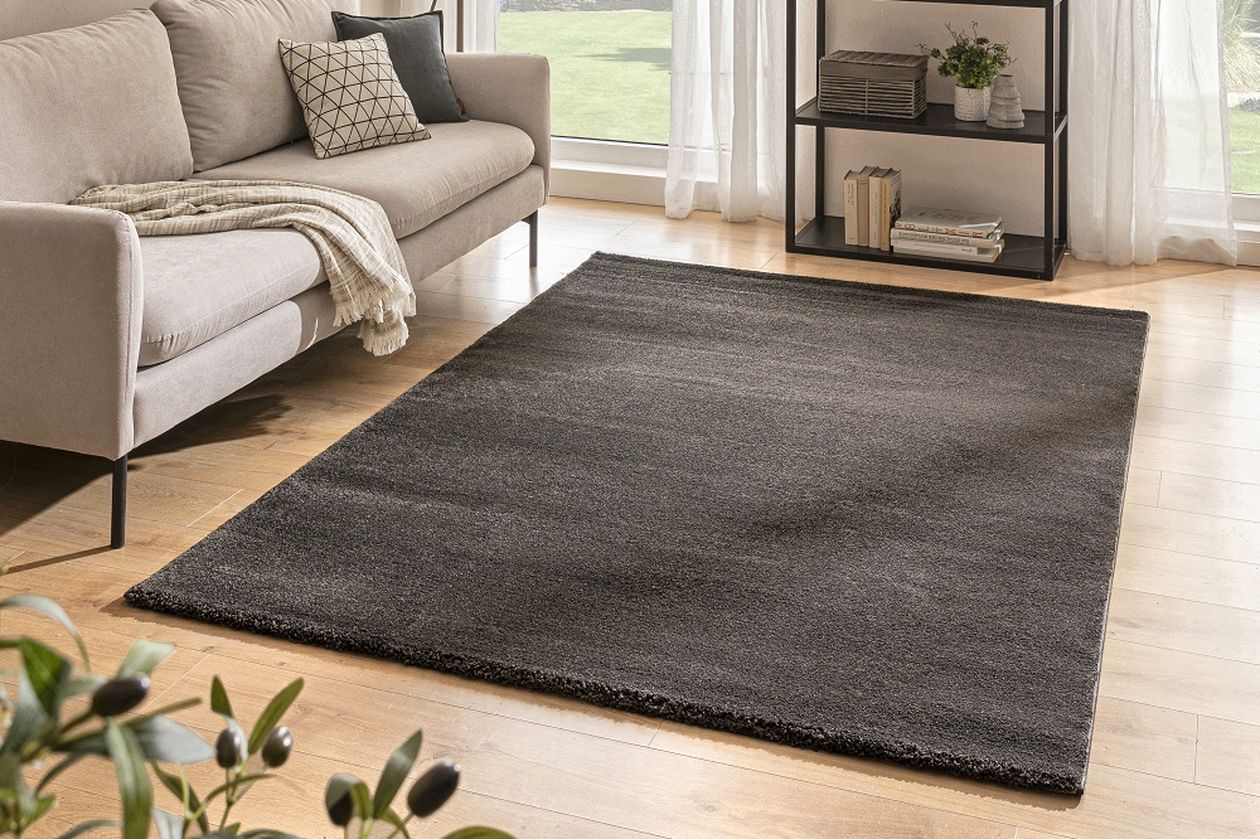 Modernes Wohnzimmer mit einem beigen Sofa, einem dunklen Teppich auf Holzfußboden, einem Regal mit Büchern und Pflanzen, und einem großen Fenster.