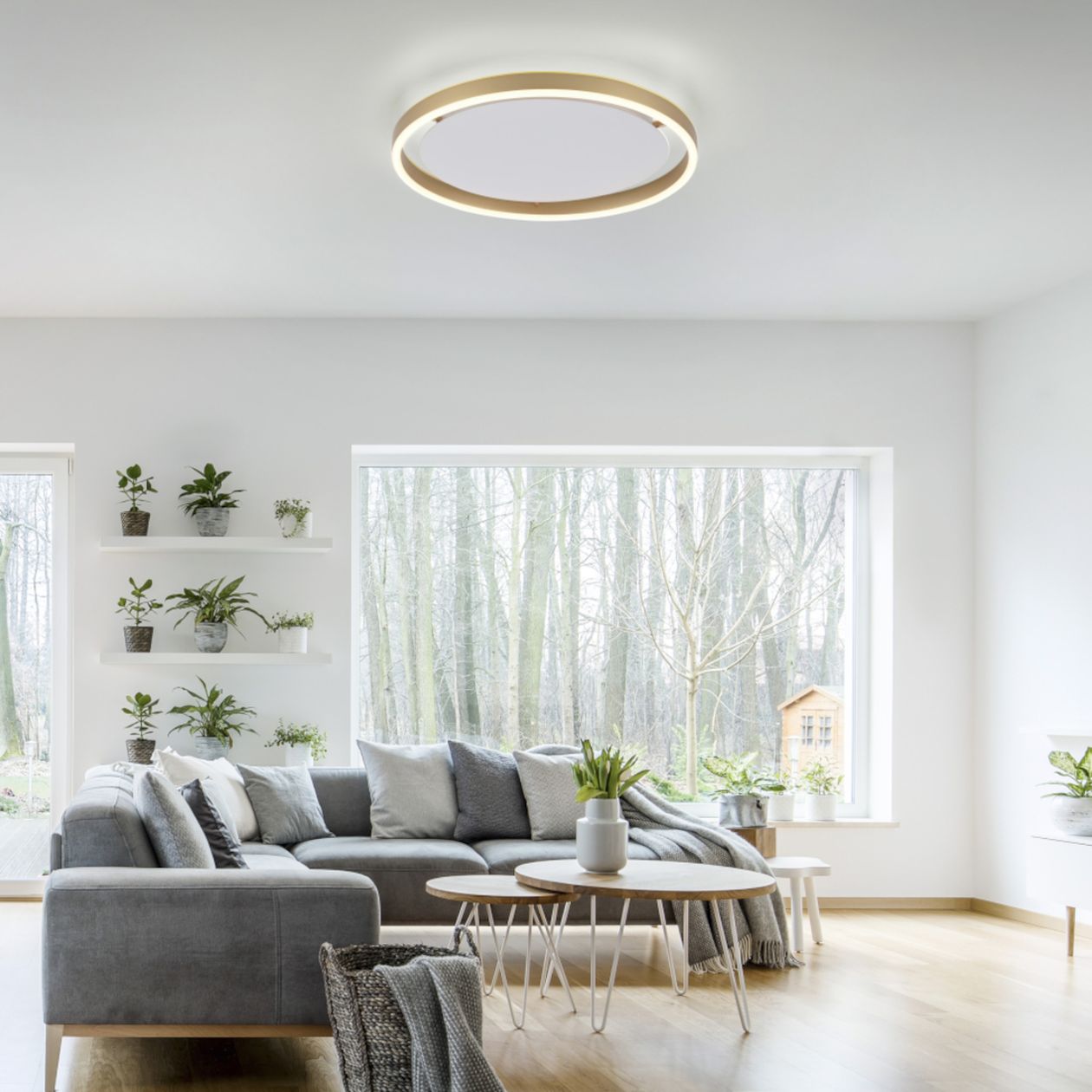 Modernes Wohnzimmer mit großen Fenstern, einem grauen Ecksofa, Topfpflanzen und einer runden Deckenleuchte. Blick auf den Wald nach draußen.