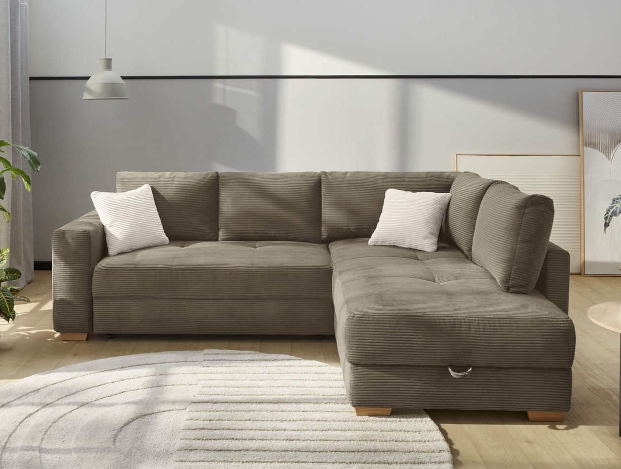 Graues Ecksofa mit zwei weißen Kissen in modernem Wohnzimmer, hölzerner Boden, Hängelampe, große Topfpflanze und gerahmtes Bild an der Wand.