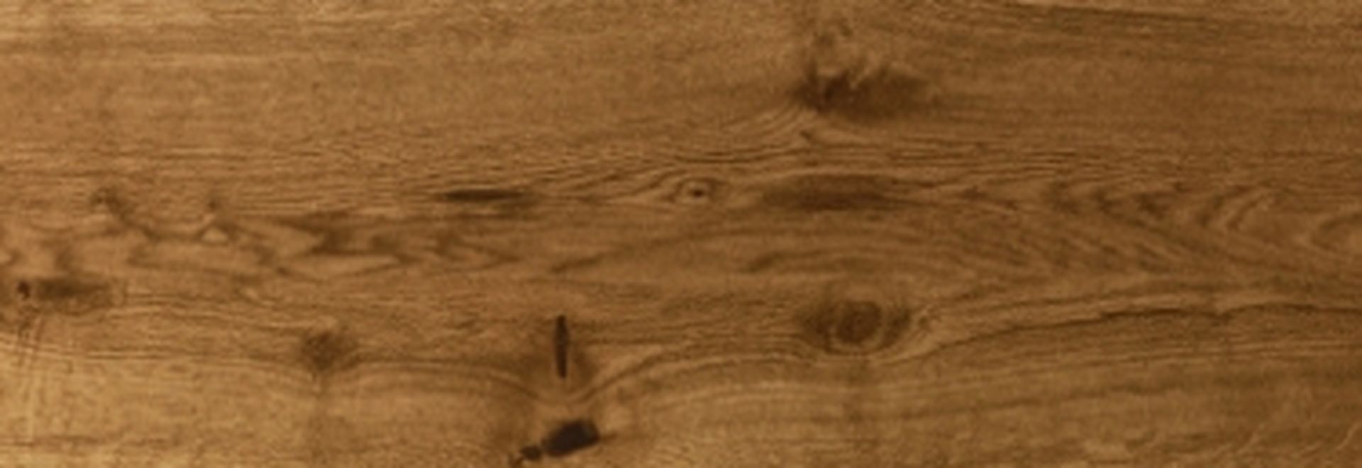 Frontfarbe Oster Quantum: Wildeiche